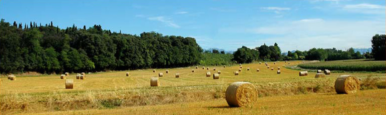 Agriturismo Gardasee, Ferien am Gardasee